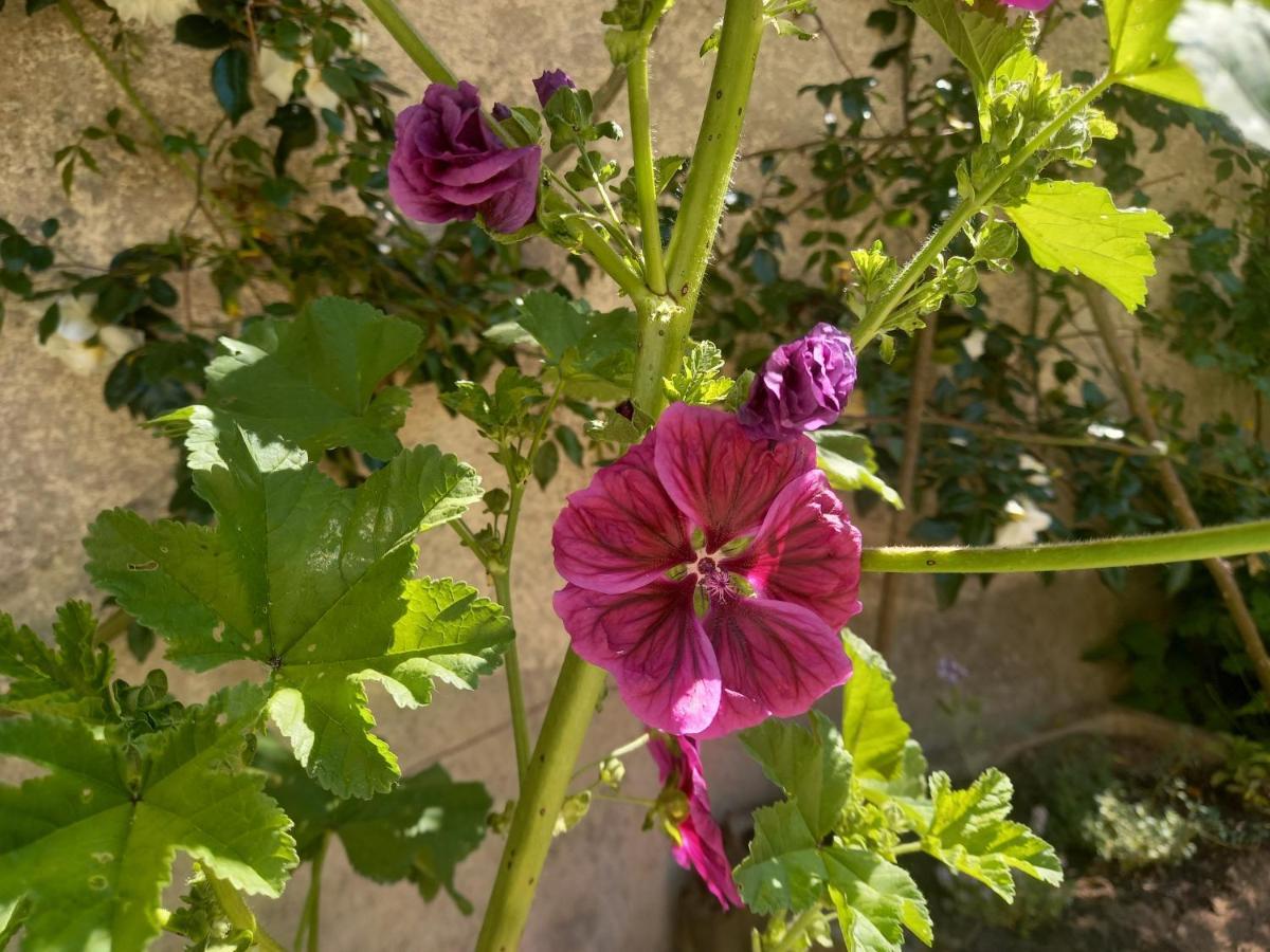Maison Violette En Berry Aigurande Eksteriør billede