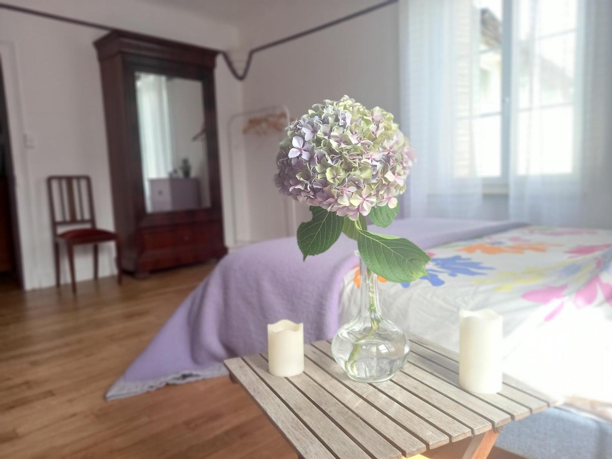 Maison Violette En Berry Aigurande Eksteriør billede